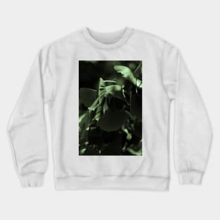 Ginko 02 Crewneck Sweatshirt